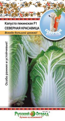 Капуста пекинская Северная красавица F1 Северные овощи 50шт (НК)