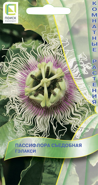 Пассифлора Гэлакси съедобная 0,2г (Поиск)