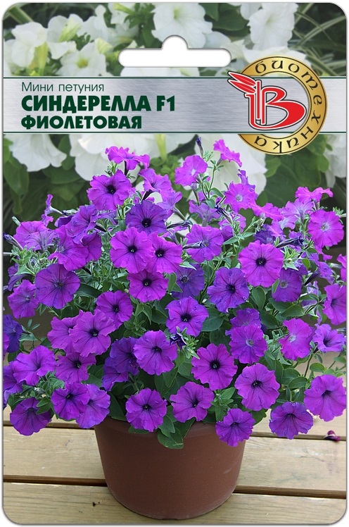 Петуния Синдерелла F1 Фиолетовая мини однолетник 15шт (Биотехника)