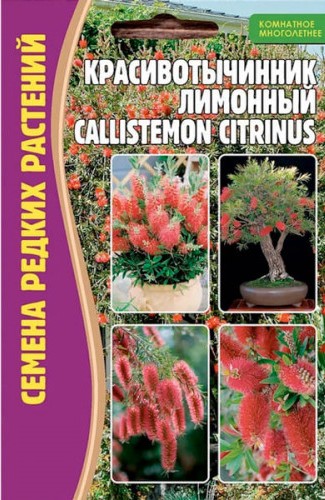 Красивотычинник Callistemon Citrinus Лимонный комнатный 0,1г (Ред.сем)
