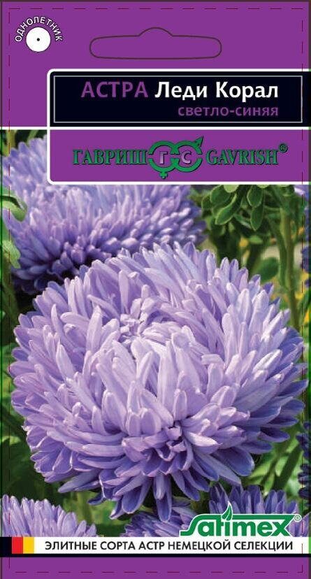 Астра Леди Корал Светло-синяя однолетник 0,05г (Гавриш)