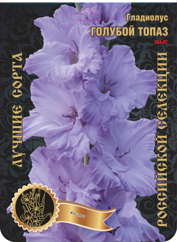 Гладиолус Голубой Топаз 584,Колганов 2 р-р 1шт (Ф)