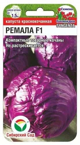 Капуста краснокочанная Ремала F1 10шт (Сиб Сад)