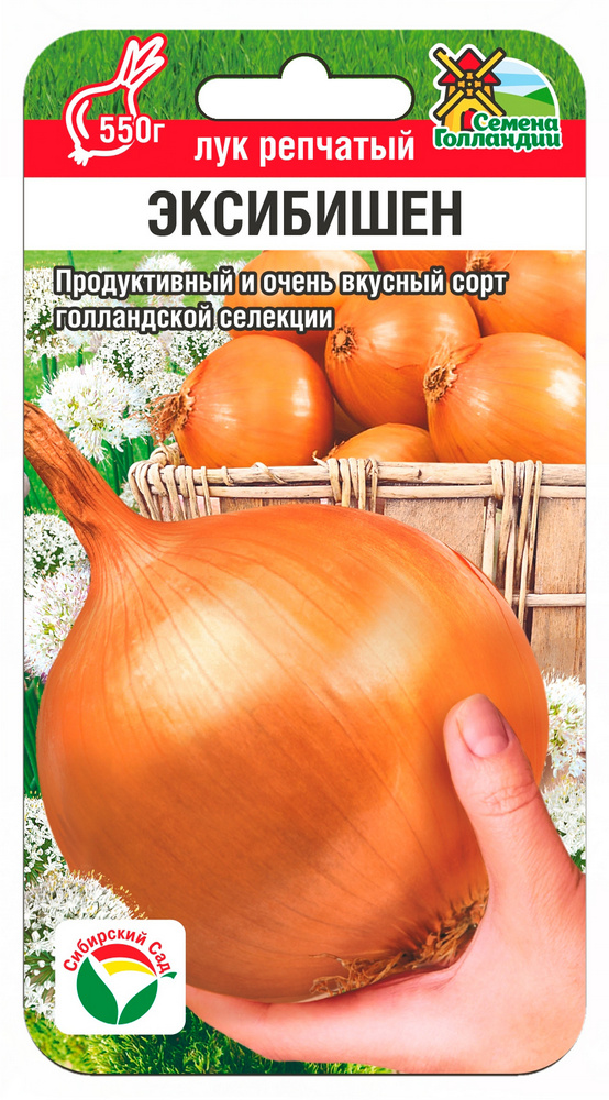 Лук репчатый Эксибишен 50шт (Сиб сад)