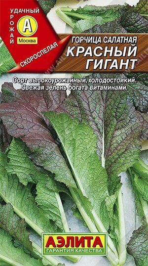 Горчица Красный гигант салатная 0,5г (Аэлита)