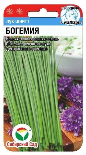 Лук Шнитт Богемия 0,5г (Сиб Сад)