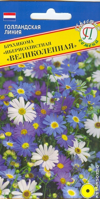 Брахикома Великолепная смесь однолетник 0,05г (Престиж)