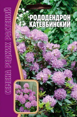 Рододендрон Катевбинский 10шт (Ред.сем)