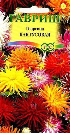 Георгина Кактусовидная смесь однолетник 0,2г (Гавриш)