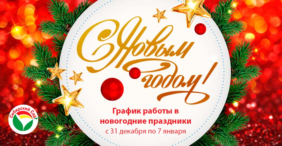 График работы на новогодние праздники 2026