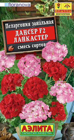 Пеларгония Дансер F2 Ланкастер смесь 5шт (Аэлита)