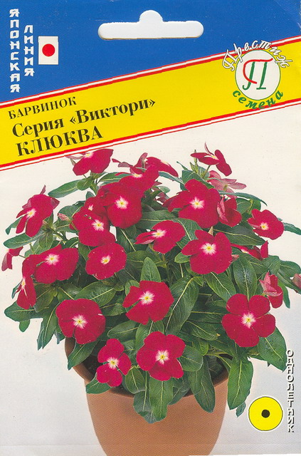 Барвинок Виктори Клюква однолетник 10шт (Престиж)