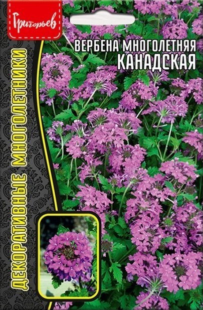 Вербена Канадская многолетник 0,05г (Ред.Сем.)