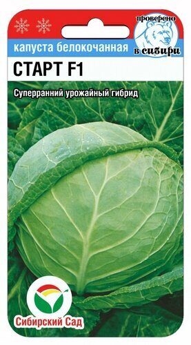 Капуста белокочанная Старт F1 10шт (Сиб сад)