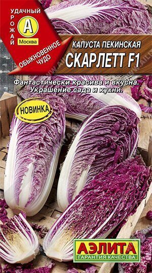 Капуста пекинская Скарлетт F1 5шт (Аэлита)