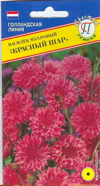 Василек Красный шар махровый однолетник 10шт (Престиж)