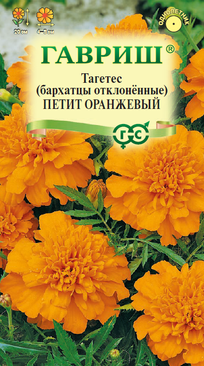 Бархатцы Петит оранжевый однолетник 0,3г (Гавриш)