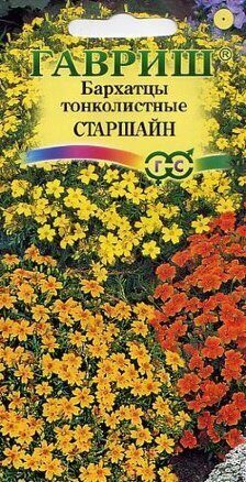 Бархатцы Старшайн тонколистные смесь однолетник 0,05г (Гавриш)