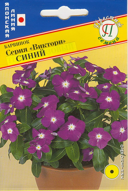 Барвинок Виктори Синий однолетник 10шт (Престиж)