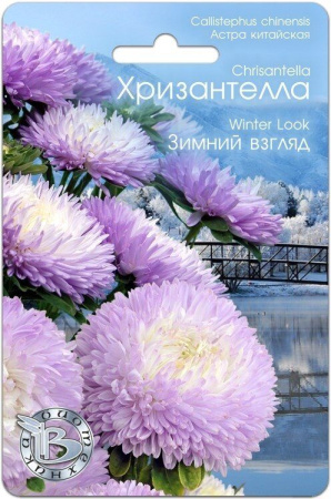 Астра ХРИЗАНТЕЛЛА Зимний взгляд однолетник 30шт (Биотехника)