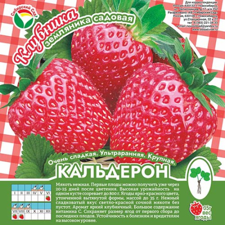 Клубника Кальдерон А 10шт/пучок (Сиб сад)