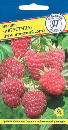 Малина Августина ремонтантная 10шт (Престиж)