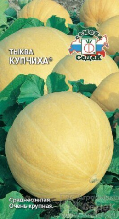 Тыква Купчиха (Седек)