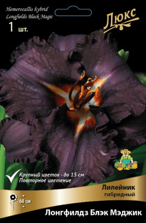Лилейник Лонгфилдз Блэк Мэджик 1шт (Поиск)