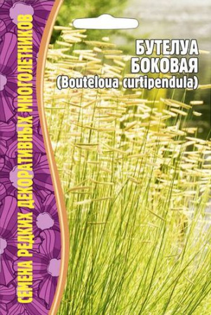 Бутелуа боковая многолетник 0,1г (Ред.сем)