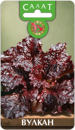 Салат Вулкан 20шт (Биотехника)