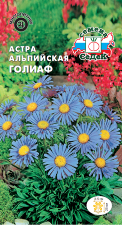 Астра альпийская Голиаф многолетник 0,1г (Седек)