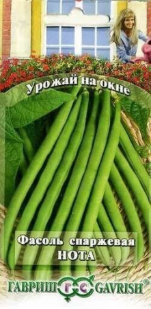 Фасоль Нота кустовая спаржевая 5г (Гавриш)