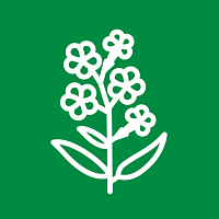 Флокс
