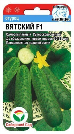 Огурец Вятский F1 5шт (Сиб сад)