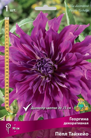 Георгина Пепл Тайхейо 1шт (Поиск)