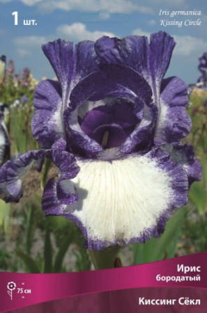Ирис Киссинг Секл (Германский) 1шт (Поиск)