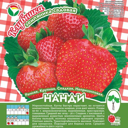 Клубника Нанди А 10шт/пучок (Сиб сад)