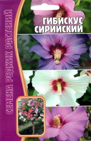 Гибискус Сирийский многолетник 7шт (Ред.сем)