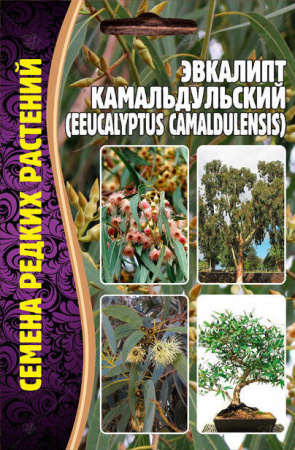 Эвкалипт Камадульский 0,05г (Ред.сем)