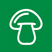 Грибы