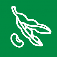Бобы