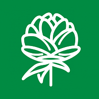 Пионы