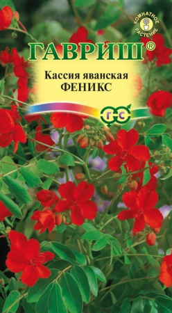 Кассия Феникс яванская 3шт (Гавриш)