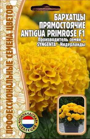 Бархатцы Antigua Primrose однолетник 5шт (Ред.Сем)