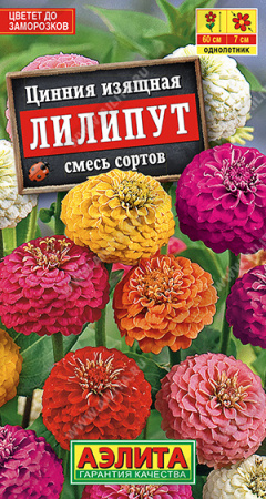 Цинния Лилипут смесь однолетник 0,3г (Аэлита)