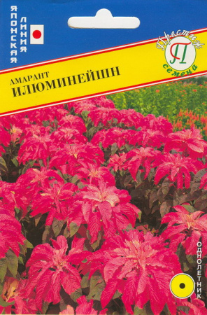 Амарант Илюминейшн однолетник 25шт (Престиж)