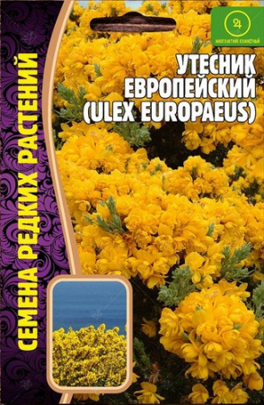 Утесник Европейский 30шт (Ред.сем)