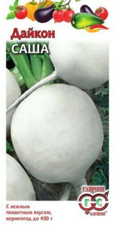 Дайкон Саша 1г (Гавриш)