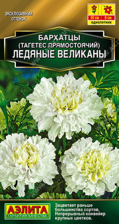 Бархатцы Ледяные велеканы однолетник 7шт (Аэлита)