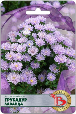 Астра Трубадур Лаванда китайская однолетник 20шт (Биотехника)